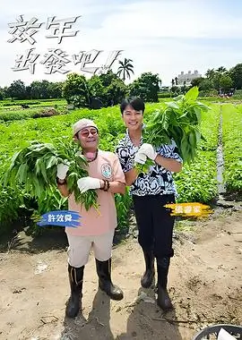 下饭综艺的剪辑节奏分析